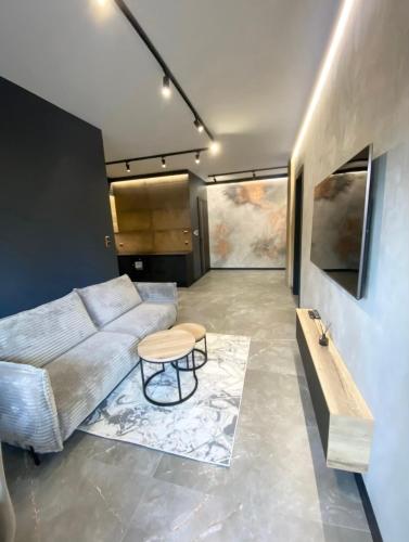 Deluxe Industrial Apartment free Parking, Cracovia (foto 11)