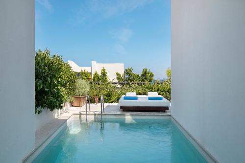 Junior King Suite with Private Pool