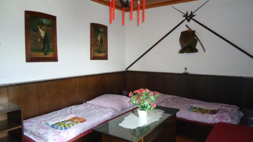 Pension Dana - image 14