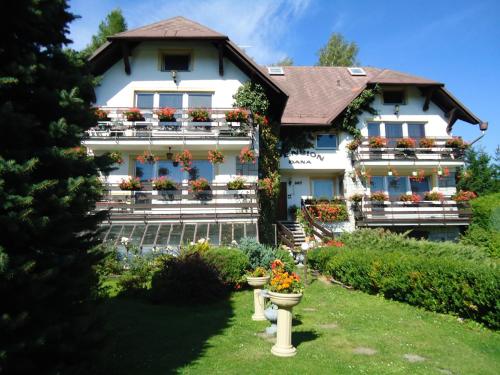 Pension Dana - image 13