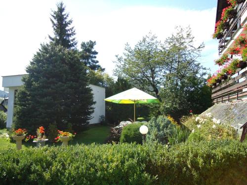 Pension Dana - image 5