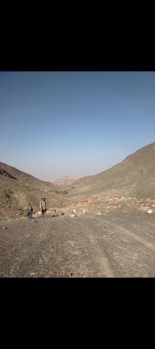 Dana to explore Bedouin life in ダナ