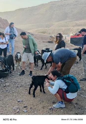 Dana to explore Bedouin life in ダナ