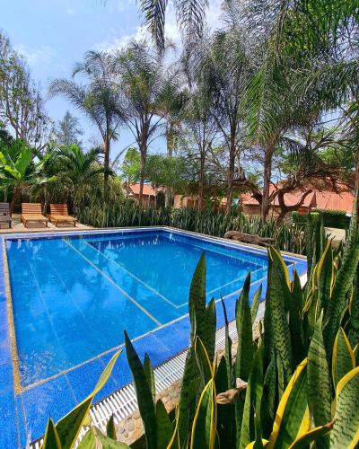 Peldbaseins, Cabanas La Tortuga in Puerto Lopez