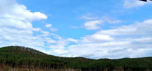 Ferienhaus am Wald in Dahn