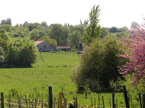 La Grange d'Oustaud