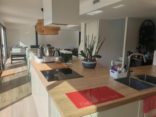 Architect-designed house in Bordeaux Architect-designed house in Bordeaux