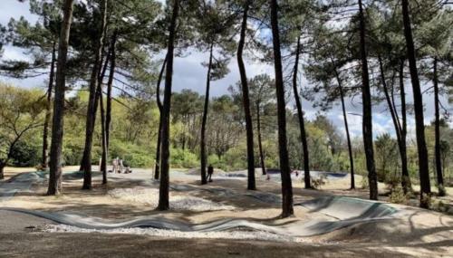 Architect-designed house in Bordeaux Architect-designed house in Bordeaux