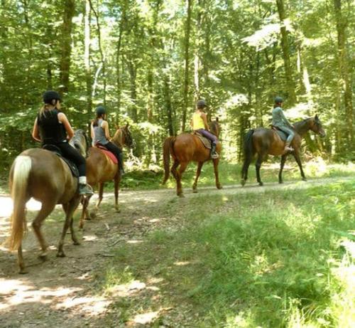 Architect-designed house in Bordeaux Architect-designed house in Bordeaux