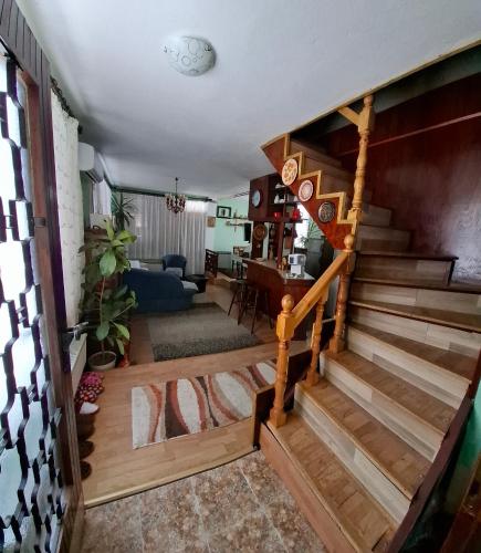 Vila Petrov in 積米特洛夫格勒