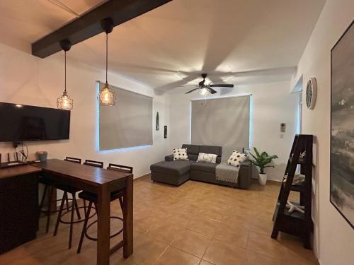 Coral Of The Seas - Sun Coral in Aguada