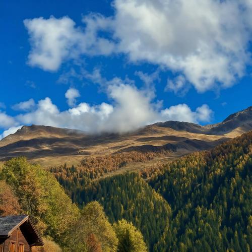 Omgeving, Les Mayens d'Adrien in Mase