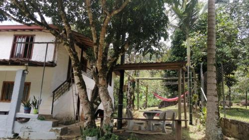 Refugio en el arroyo