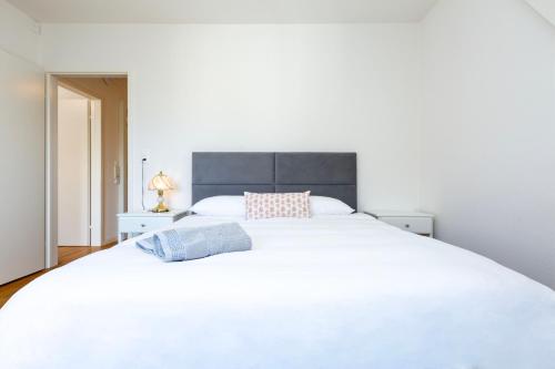 KAYA Zurich Apartment 5B - Downtown 2BR Deluxe Loft Apt, Curych (fotografie 10)
