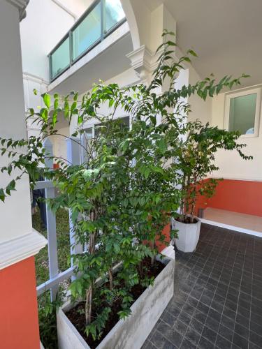 Garden, Supicha86 Sino ko kaeo Modern Private 3BR 3BA Villa near British International School Phuket