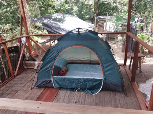 Apo-Experience Ecoturismo Talamanca in Hone Creek