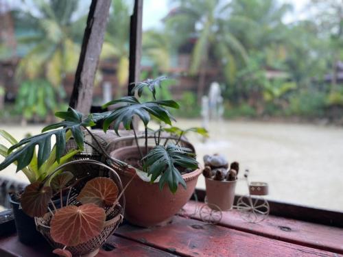 Healing House Holistic Farm stay