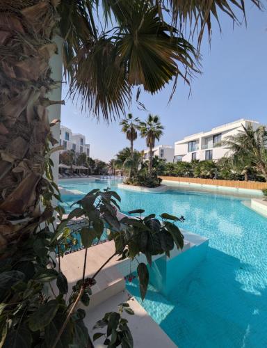 Stylish Urban-Jungle-Studio in Al Barari, Dubai, Dubai (photo 3)