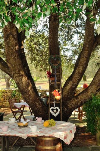 Alba Bed & Breakfast - image 9