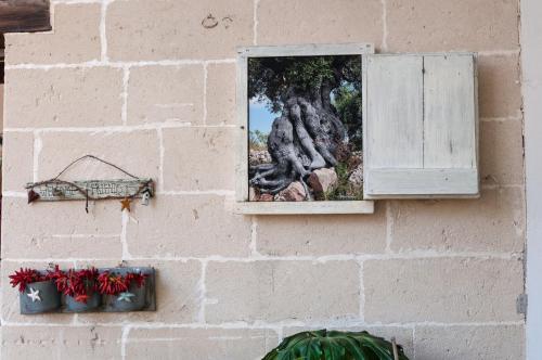Alba Bed & Breakfast - image 12
