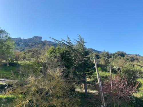 Gîte lumineux avec jardin, vue sur Peyrepertuse (Gite lumineux avec jardin, vue sur Peyrepertuse) in Rouffiac-des-Corbieres