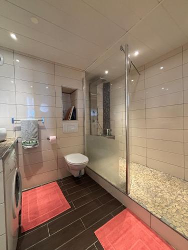 Attique avec terrasse - Zénith & centre-ville, Strasburg (zdjęcie 7)