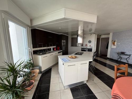 Attique avec terrasse - Zénith & centre-ville, Strasburg (zdjęcie 9)