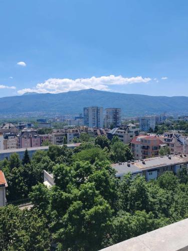 Апартамент Sofia View, София (фото 9)