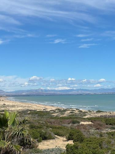 Beautiful apartment in La Mata with sea view - image 4