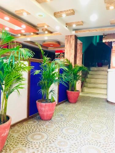 Miracle Wonder in Kalanki