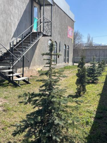 Эмир in Kirpichny
