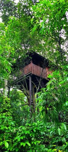 . Greens Tree House & Wood House