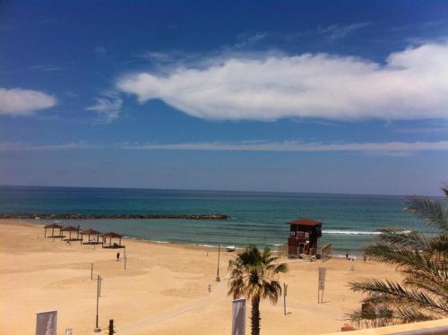 海上客房 (Rooms on the sea) in 迦密海濱