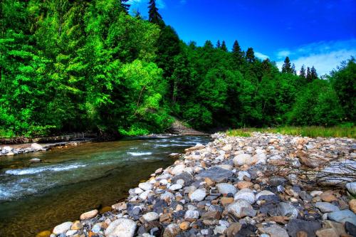 Willa Kamila Willa Kamila