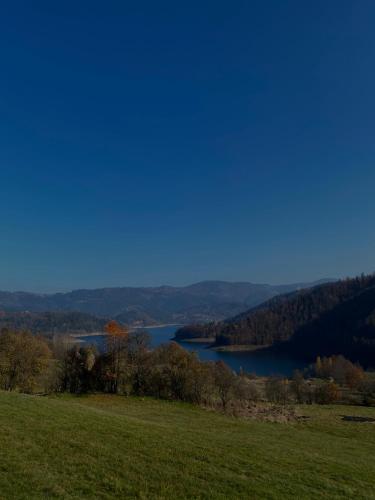 Brvnara Iva in Jezdici