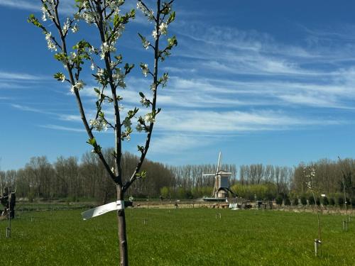 Omgivelser, Vakantiewoning Erf64 in Sint-Amands