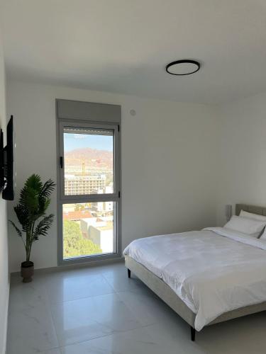 אדום 3 אילת, בוטיק יוסי אברהמי שדרות התמרים, Eilat (foto 5)
