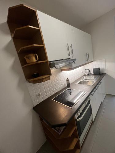 Stylish in Sankt Johann near Novartis with Sauna, Basilea (foto 8)