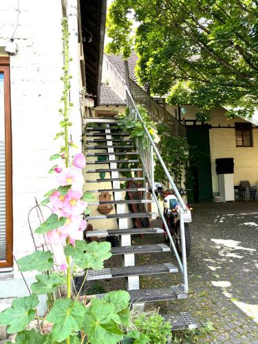 Workers Lodge für 4-14 Pers, Parkplatz, Wlan, Einzelbetten (Workers Lodge fur 4-14 Pers, Parkplatz, Wlan, Einzelbetten) in Gundersheim