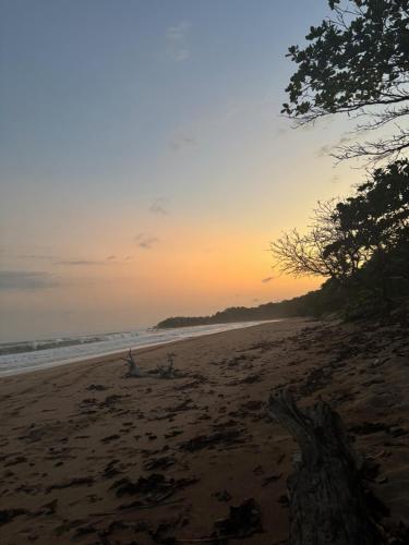 Garden Lodge - Cape Three Points in アクウィダア