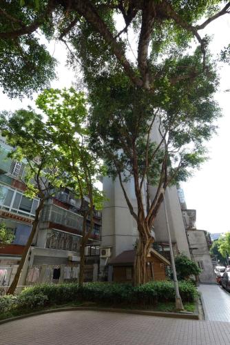 Apartment - Split Level image 2