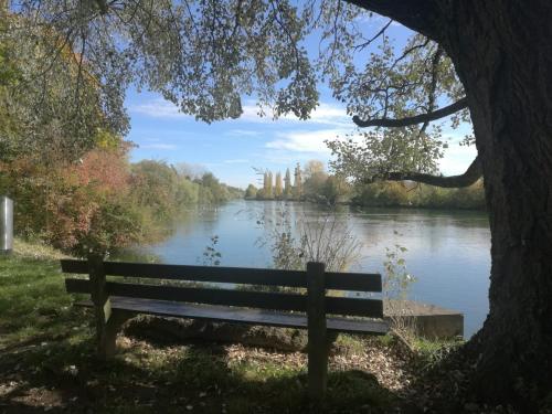 Omgeving, Harmony in the Limmat Close to Zurich in Dietikon