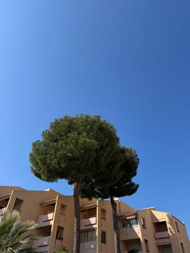 charmand studio en résidence avec piscine (charmand studio en residence avec piscine) in Lescourche