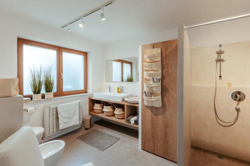 Zaunkönig (Zaunkonig) in Telfs