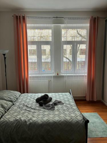 Anthony Apartment in City Center, Bratislava (photo 4)