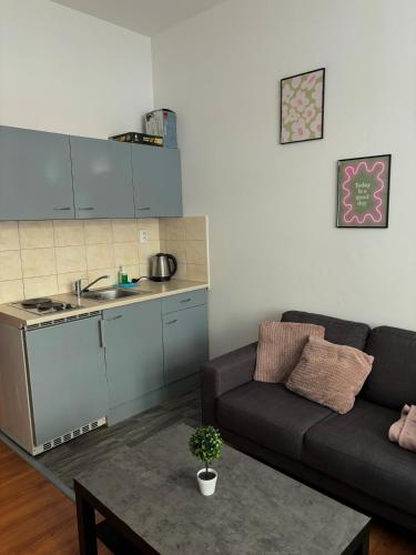 Anthony Apartment in City Center, Bratislava (photo 8)