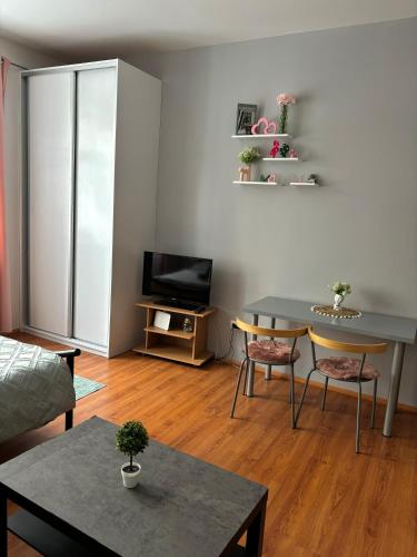 Anthony Apartment in City Center, Bratislava (photo 5)