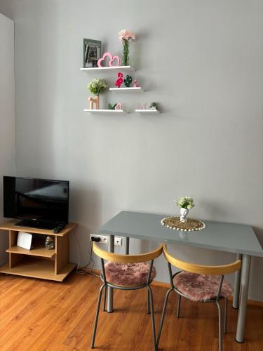 Anthony Apartment in City Center, Bratislava (photo 7)