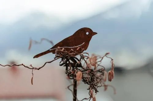 Zaunkönig in Telfs, Österreich