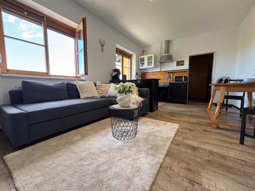 Glanz und Gloria Weingartenapartment an der Kellerstraße, viele Buschenschanke, sehr ruhige Lage, he in Loipersdorf